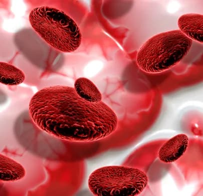 https://dxfqlcpql5f3t.cloudfront.net/Treatment/leukemia.webp