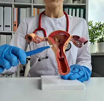 https://dxfqlcpql5f3t.cloudfront.net/Treatment/ovarian-cystectomy.webp