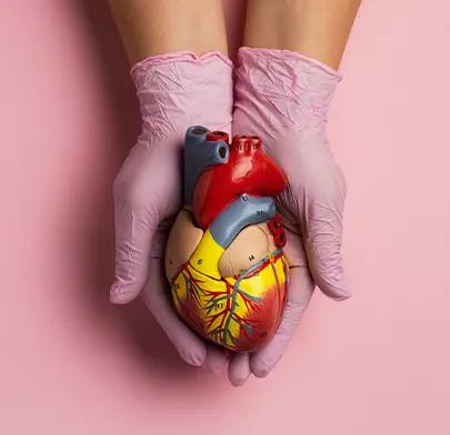 https://dxfqlcpql5f3t.cloudfront.net/Treatment/renal-artery-angioplasty.webp