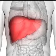 Liver Transplant India vs Thailand: Which Country is Better?