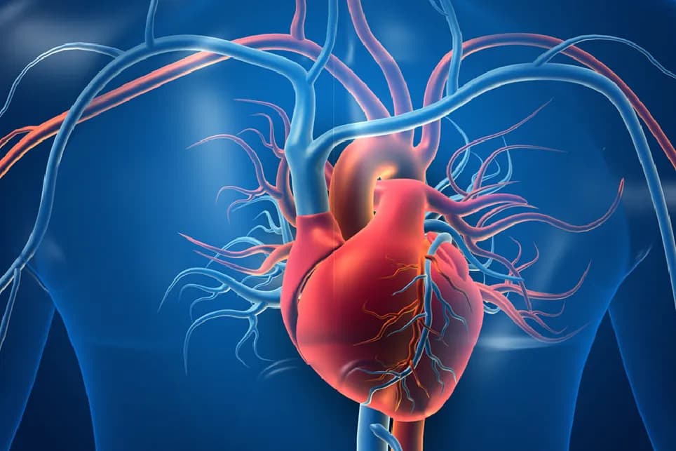Finding the Best Heart Valve Replacement in Delhi for You