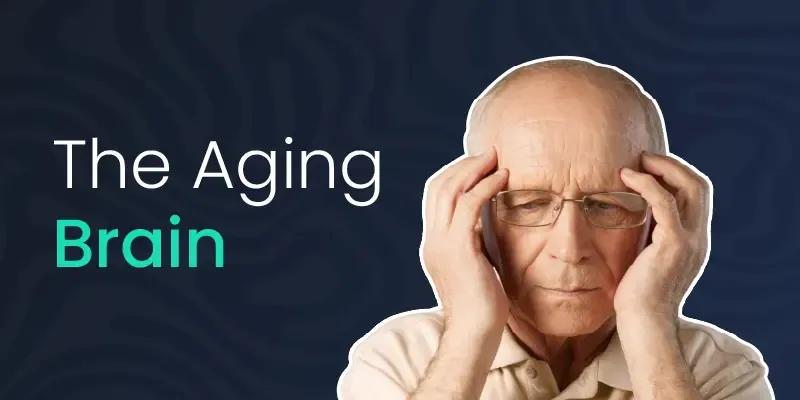 Healthy Diet for brain aging