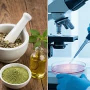 Ayurveda vs IVF: Can Herbal Treatment Cure Blocked Fallopian Tubes?