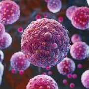 Can Lipomas Become Cancerous? Understanding the Risks