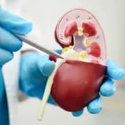 Kolkata: Emerging Hub for Urology Treatment