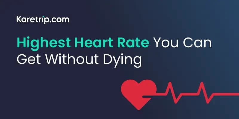 Highest Heart Rate You Can Get Without Dying
