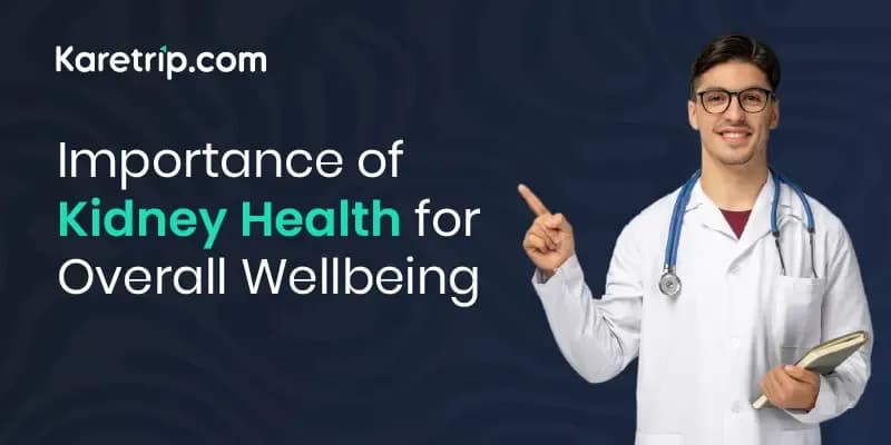 Importance of Kidney Health for Overall WellBeing