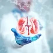 Kidney Transplant Cost In India