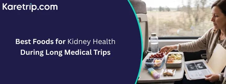 Best Foods for Kidney Health During Long Medical Trips, Karetrip