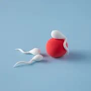 Ovulation Symptoms: A Comprehensive Guide