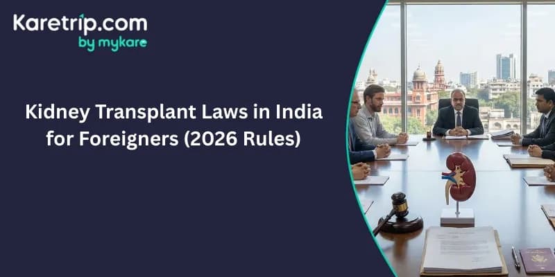 A formal meeting takes place in a professional boardroom overlooking a city skyline, featuring an official at the head of the table and several individuals in discussion. On the table, a medical model of a kidney sits next to a judgeβs gavel and legal doc