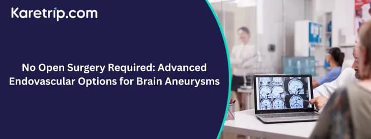 No Open Surgery Required: Advanced Endovascular Options for Brain Aneurysms, Karetrip
